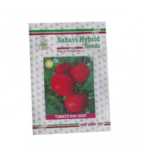 Tomato OP Nav Uday 50 grams